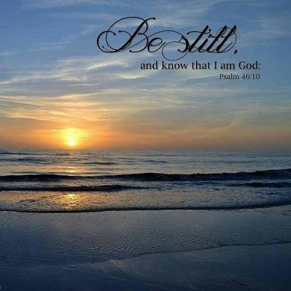 Meet your Posher, Sherry - Picture 1 of 1